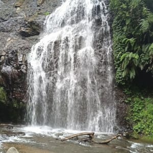 Nature Sounds Relaxation Films
