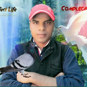 Magic Miracle