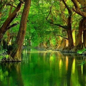 Nature Benefits