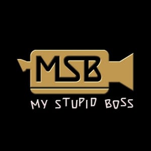 My Stupid Boss