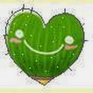 Little Cactus
