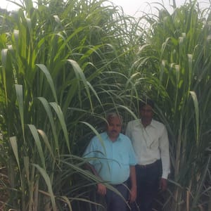 Om Prakash Singh Farming