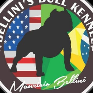 Mauricio Bellini – Bellini’s Bull Kennel
