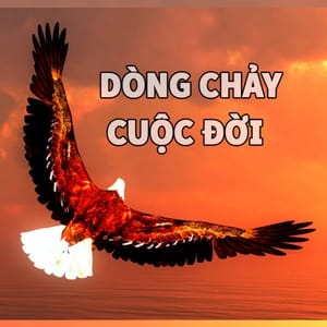 Dòng chảy cuộc đời