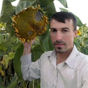 Sefa Akar