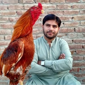 Aseel Murga Training