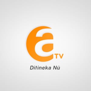 ava media
