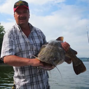 Steve Douglas The Catfish Dude