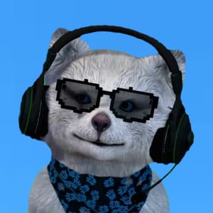 Polo Streamer