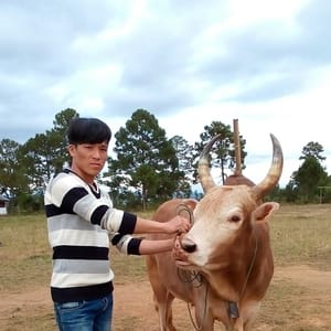 Kou Moua