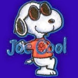 Joe Cool