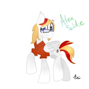 Alex Side React