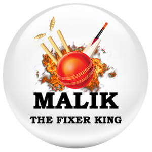 Malik Cricket Prediction