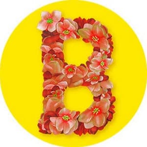 Blossom Español
