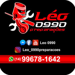 Leo 0990
