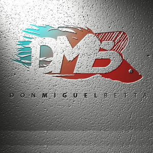 Don Miguel Betta y Mas