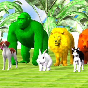 NASH TOON Tv Nursery Rhymes and Kids Songs