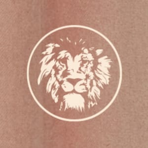 Amber Run Official