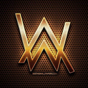Alan Walker: FANS