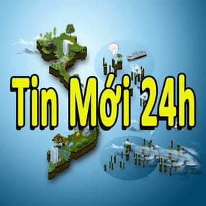 Tin Viet Free 24h