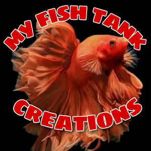 My Fish tank creations