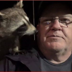 James Blackwood – Raccoon Whisperer