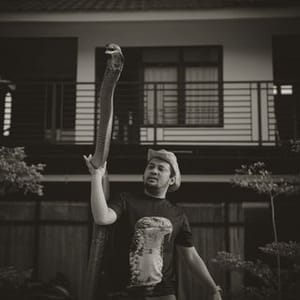 Panji Petualang