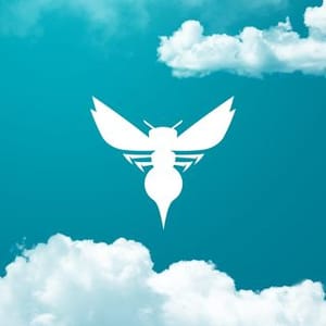 Charlotte Hornets