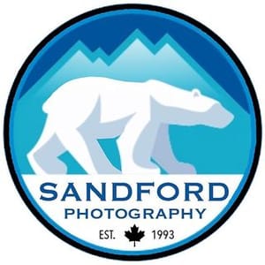 Dave Sandford