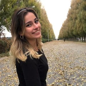 Alara Bayir