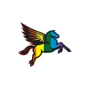Dallas Wings