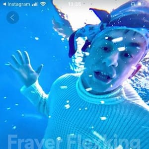 Frayer Flexking