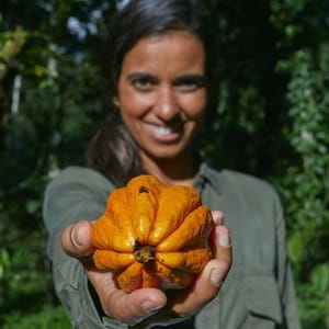 Aline Matulja Ixti