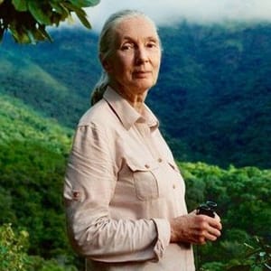 Jane Goodall Australia