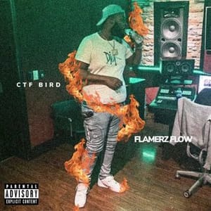 Ctf Bird