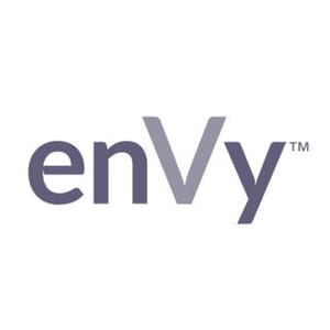 Envy Pillow
