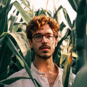 Andrea Metafuni