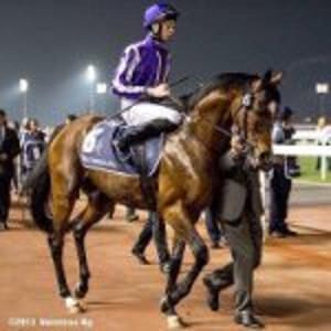 Joseph O Brien