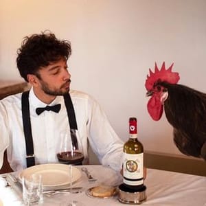 The Diary Of A Sommelier