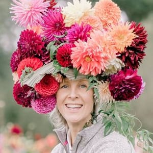 Just Dahlias