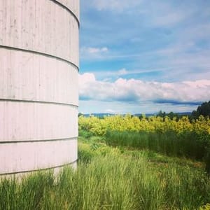 Jun Igarashi