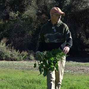 Pascal Baudar