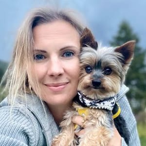 Biewer yorkie
