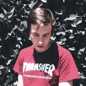 Lil Fikus