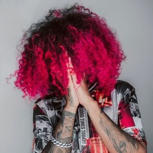 Afroelmc