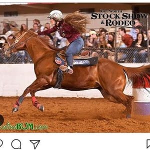 Barrel Horse