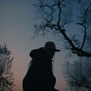 Damien Vignaux