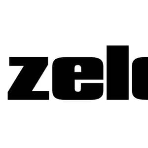 Zelda Farzak