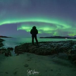 Geir Lia Hammer