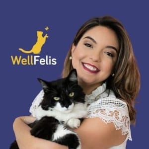 Feline Behavior